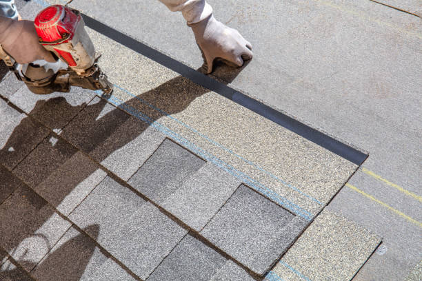 Best Metal Roofing Contractor  in Merriam, KS